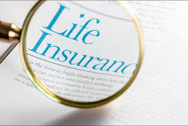 Life Insurance: A Comprehensive Guide for Financial Security